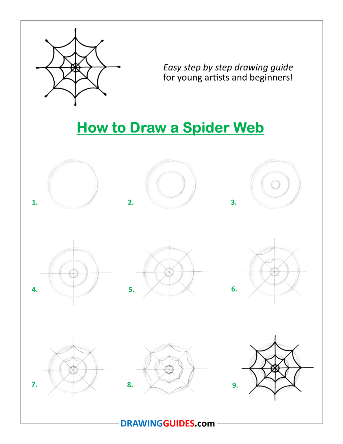 How to Draw a Spider Web Easy Step by Step Drawing Guide