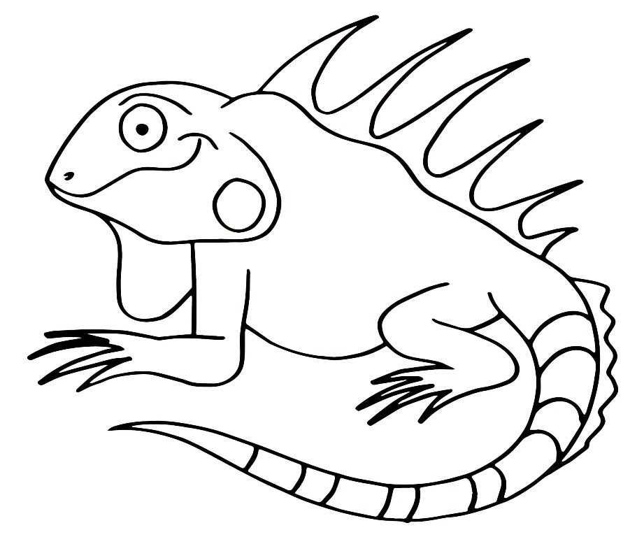 How to Draw an Iguana LetterToon | Easy Step by Step Drawing Guide